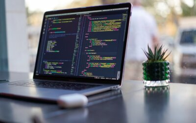 Customized vs. Generic Solution: The Impact of AI